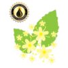 Inawera - Elderflower Flavor