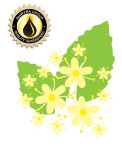 Inawera - Elderflower Flavor