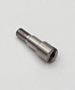 BF ant by Vaux pin